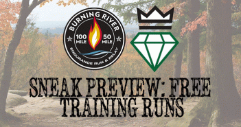 Sneak Preview: Free Training Runs