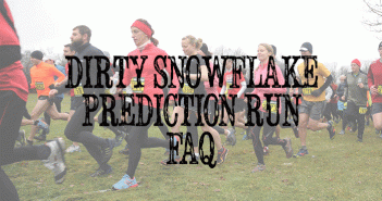What is a Prediction Run?