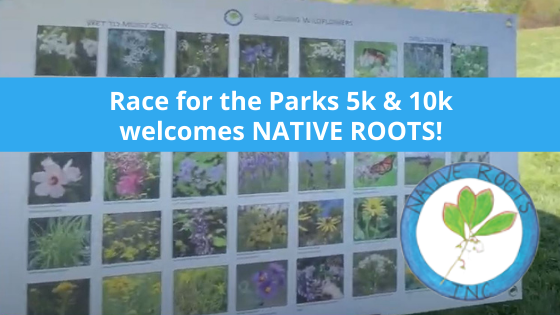 Race for the Parks 5k & 10k welcomes Native Roots