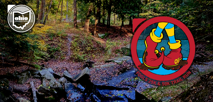 2022 Fools Web Page Banner