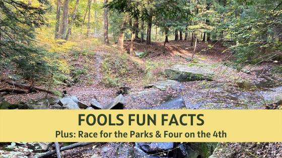Fun Facts about Fools