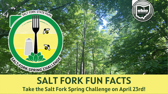 Fun Facts about Salt Fork