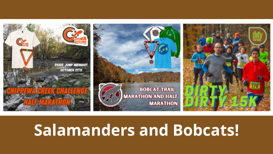 Salamanders and Bobcats!