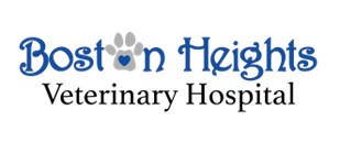 Boston Heights Veterinary Hospital